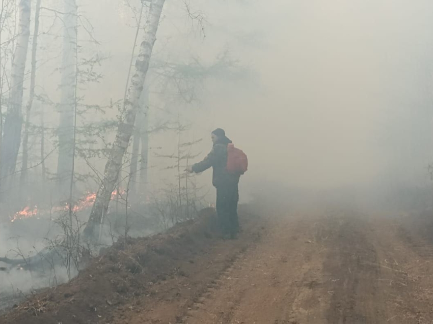 Девять лесных пожаров локализовали за последние стуки в Забайкалье